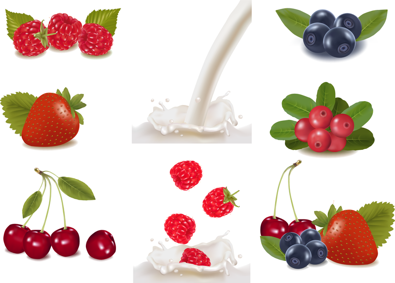 The Fruits Milk 02 Vector