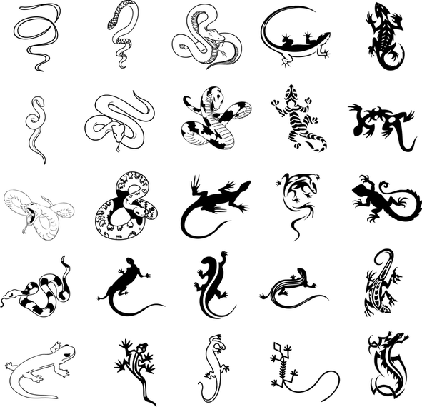 Vector de moluscos Vector de moluscos