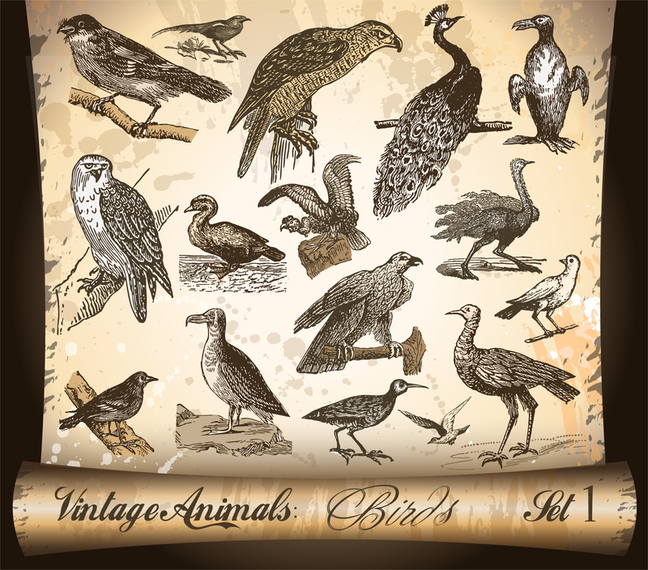 Classic Handpainted Animals Vector Classic Handpainted Animals Vector
