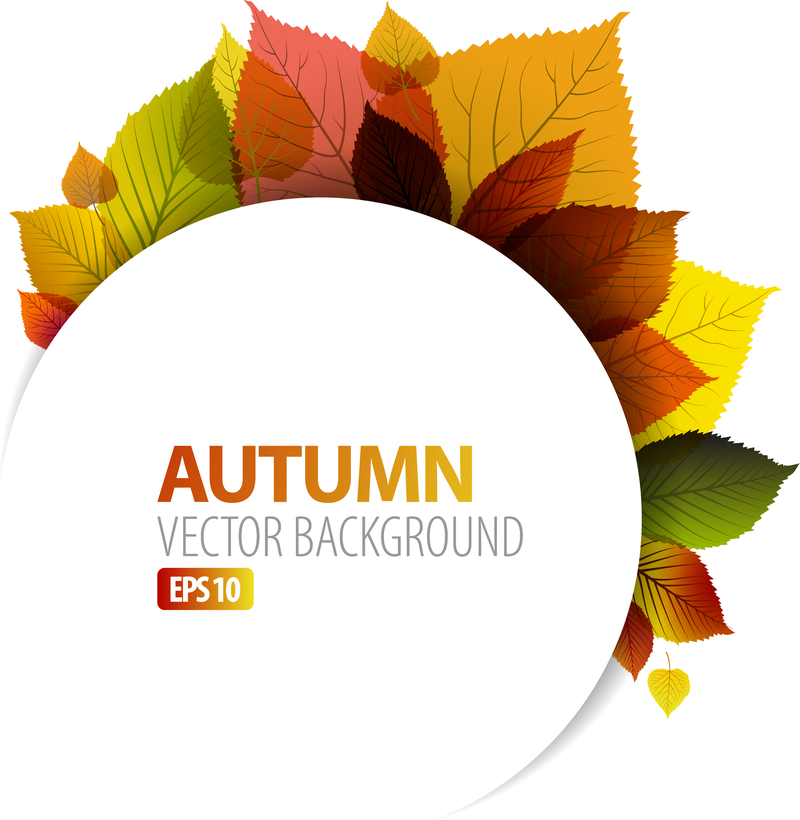Diseño de gráficos vectoriales Hoja de otoño 1
