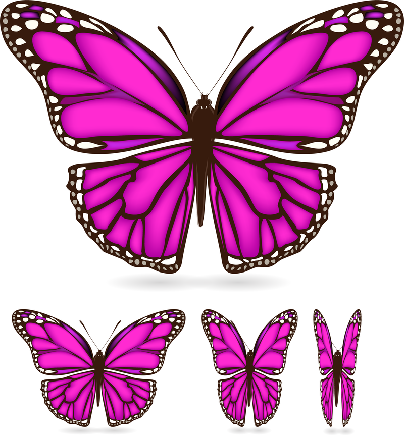 Free Free 235 Pretty Butterfly Svg SVG PNG EPS DXF File