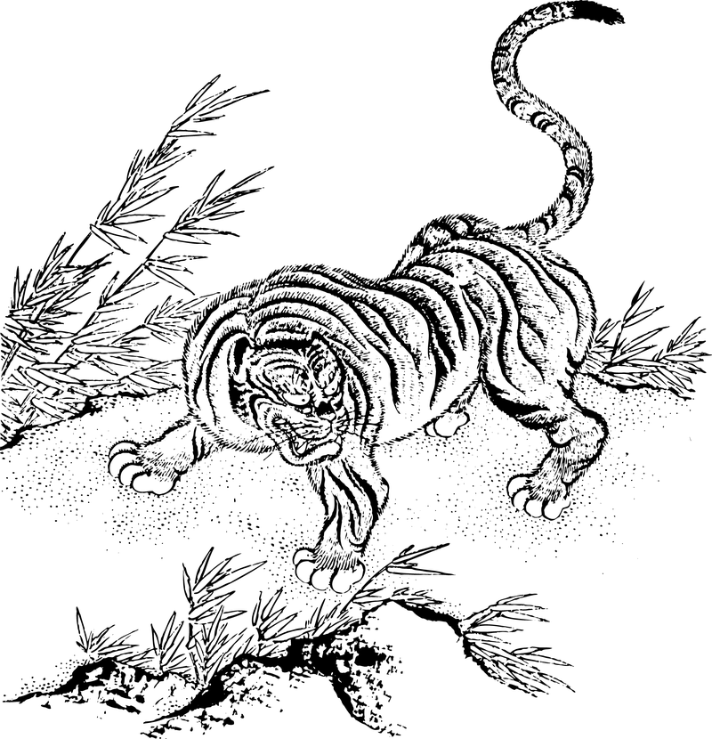 Vector tigre clásico