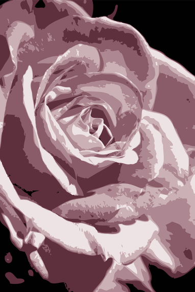 Rosa 2 Rosa 2
