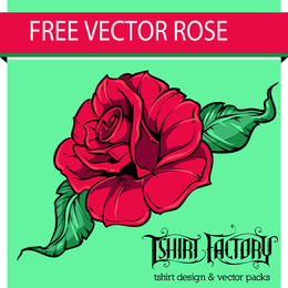 Ilustración rosa con trazo