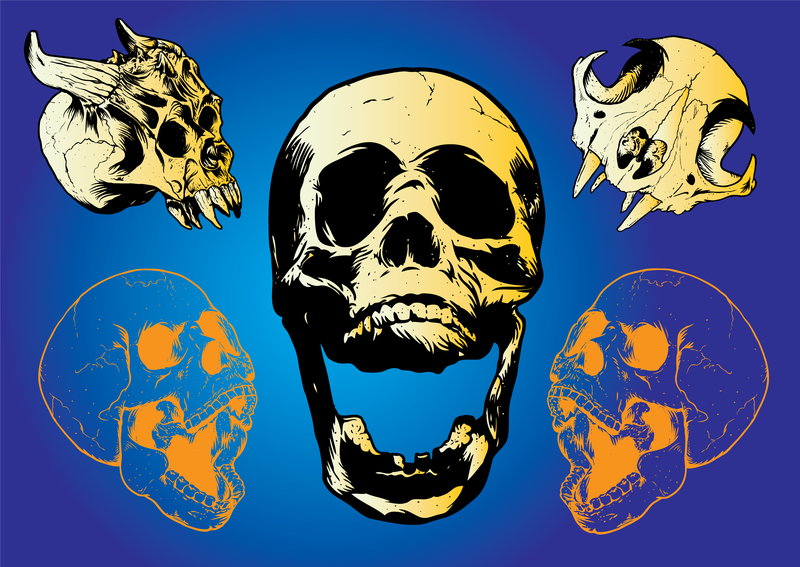 Scary Skulls Scary Skulls