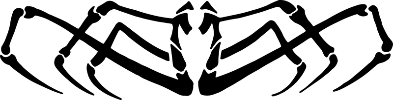 Clip Art - aranha Clip Art - aranha