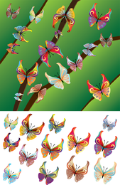 Linda Borboleta Desenho vetorial Borboleta Vector Adobe Illustrator
