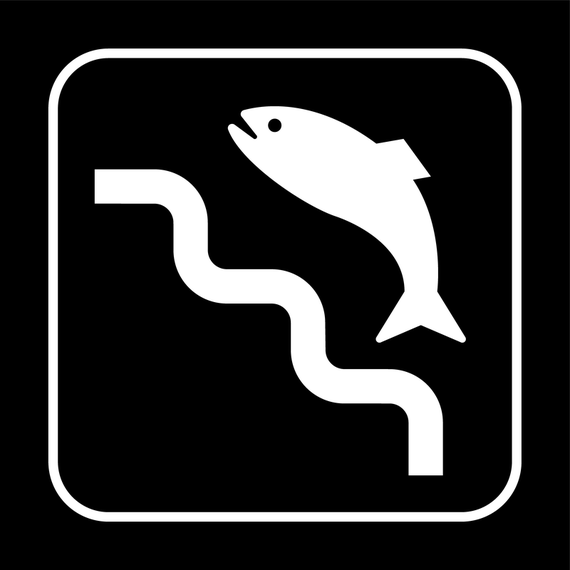 Download Fishing Area Sign Board Vector - Vector download