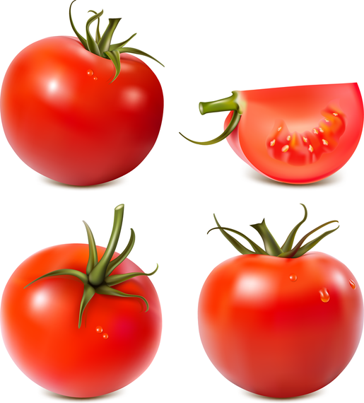 Tomato Vector Tomato Vector