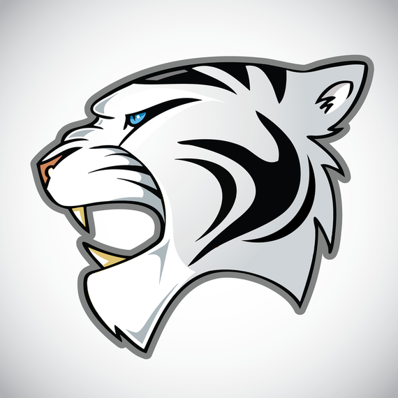 Tiger Image 24 Vector Tiger Image 24 Vector