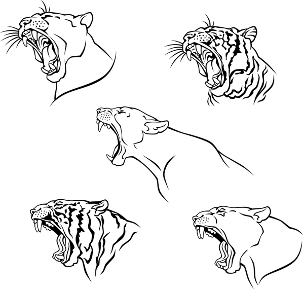 Tiger Image 10 Vector Tiger Image 10 Vector