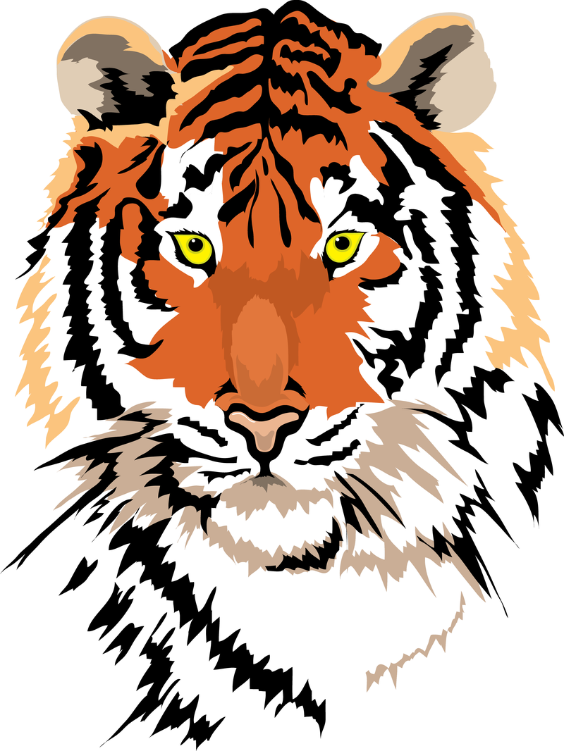 Tiger Image 01 Vector - Vector download