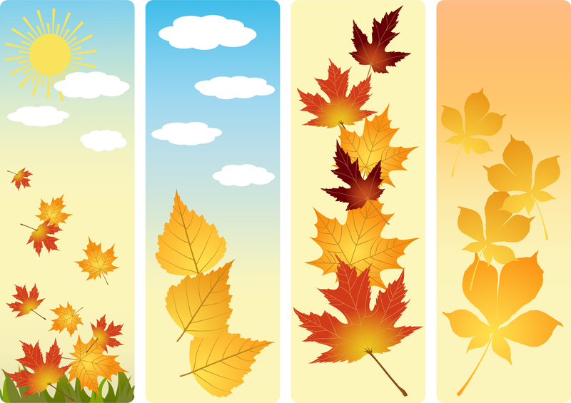 Conjunto de banner vertical de folhas de outono