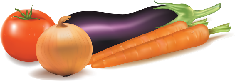 Vector Of Common Vegetables Vector Of Common Vegetables