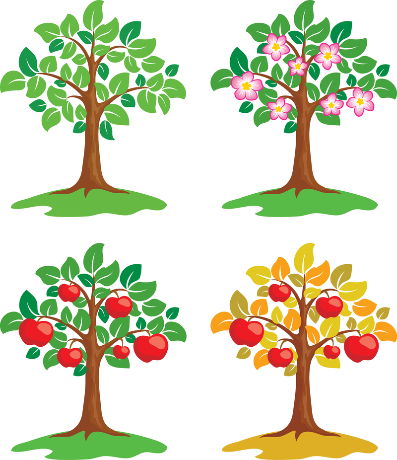 Bäume Vektor-Illustrationen