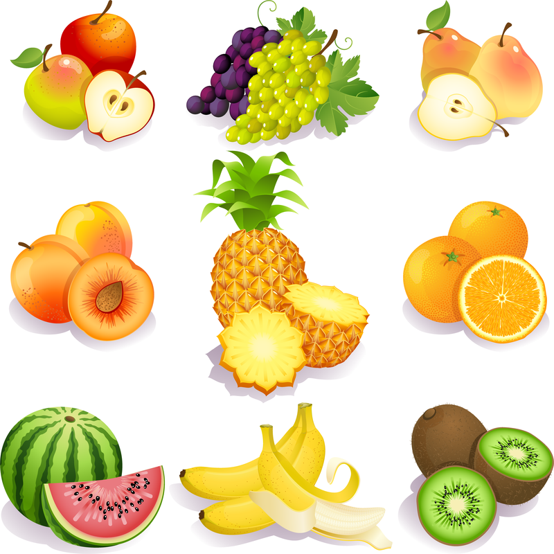fruit illustration download