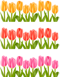 Vector de tulipanes de colores