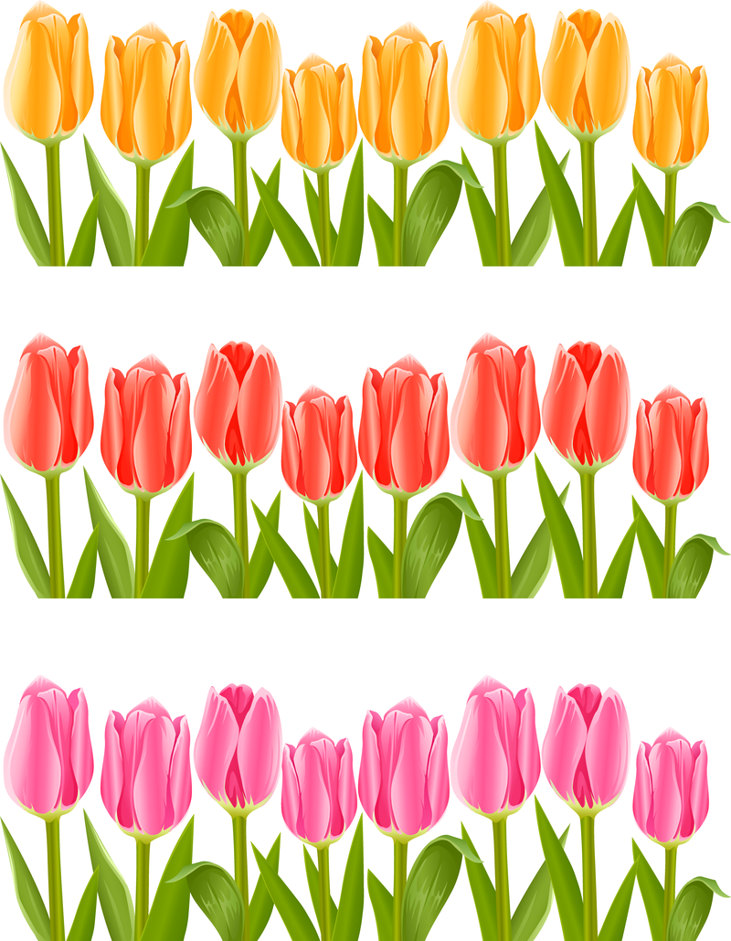 Vetor de tulipas coloridas