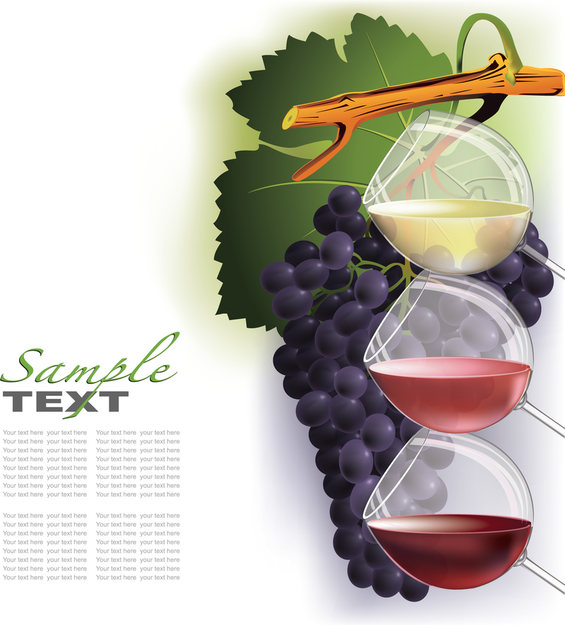 Wein und Trauben Vector 2