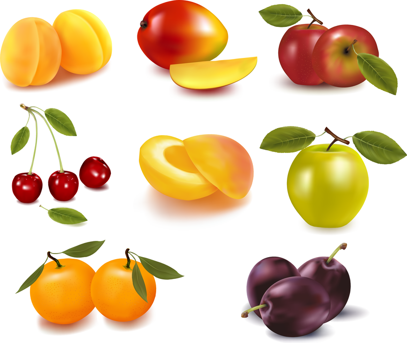 Eight Kinds Of Fruits Vector - Vector download