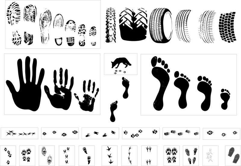 Vector Traces Of Footprints Tires Vector Traces Of Footprints Tires
