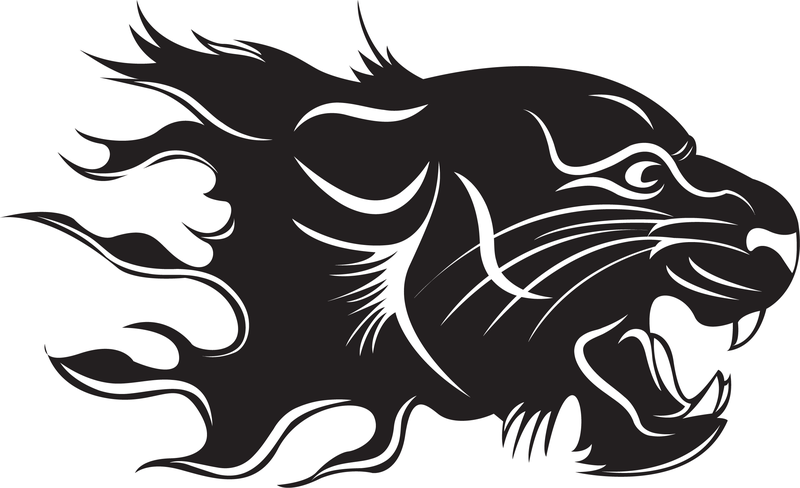 Tiger Flame Vetor Tiger Flame Vetor