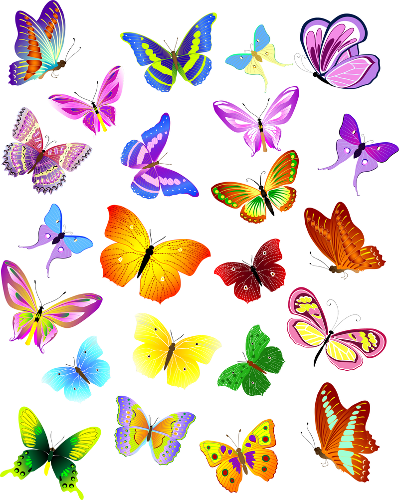 Una variedad de hermosas mariposas Vector