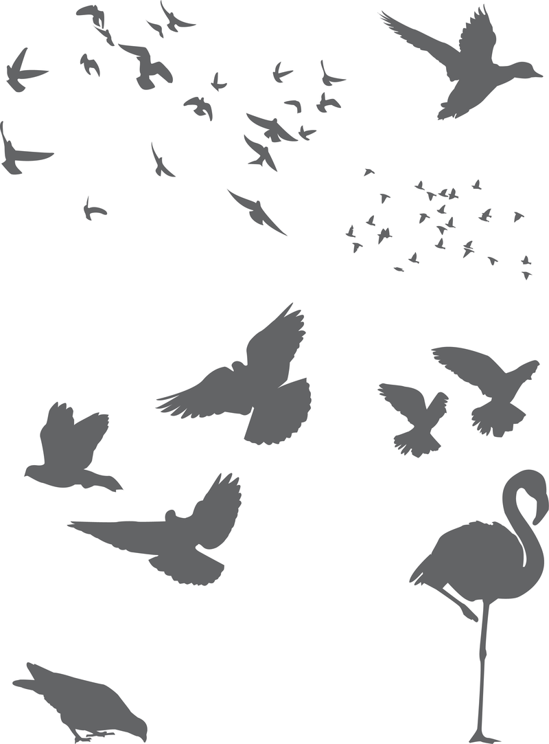 Download Free Vector Birds - Vector download