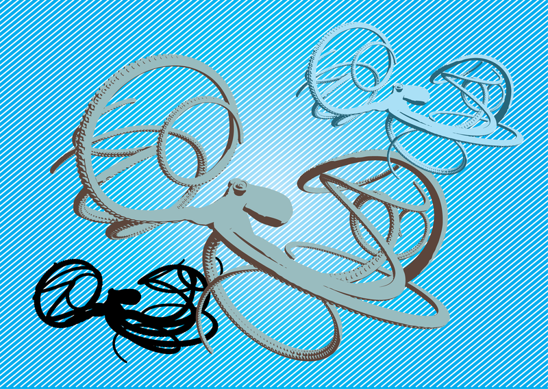 Pulpo vector art Pulpo vector art