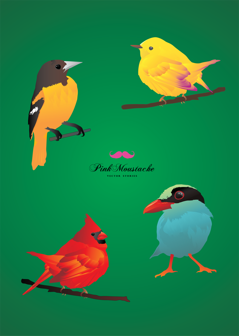 4 hermosos pájaros detallados