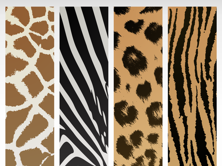 Animal Texture Vector Animal Texture Vector