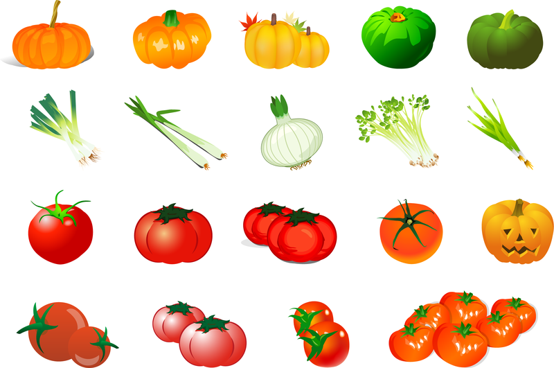 Vector Of Vegetables Vector Of Vegetables