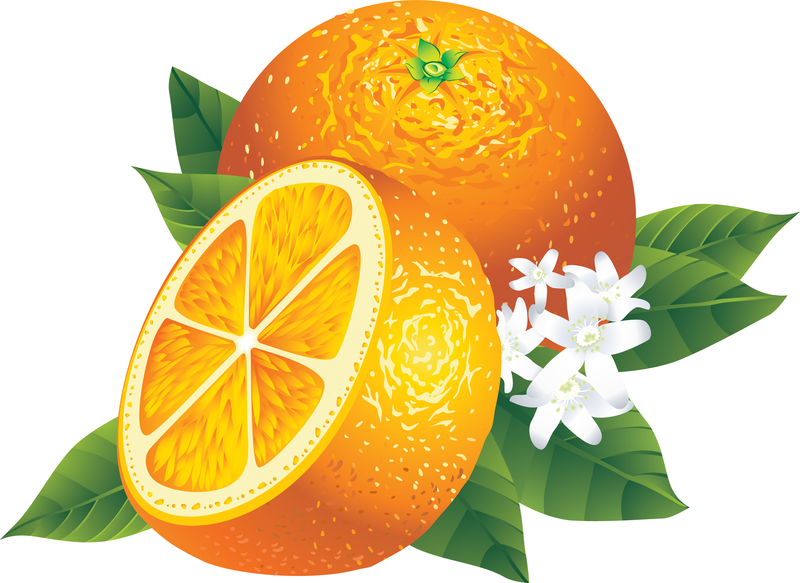 Realistische orange Illustration