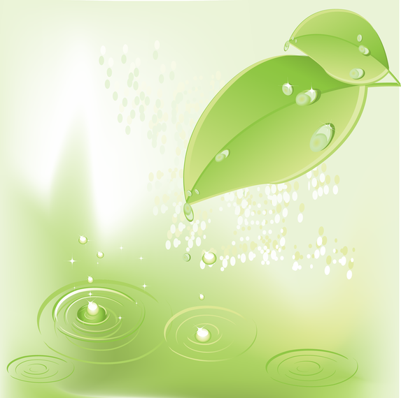 Vector Leaves Ladybug Beads Vector Leaves Ladybug Beads