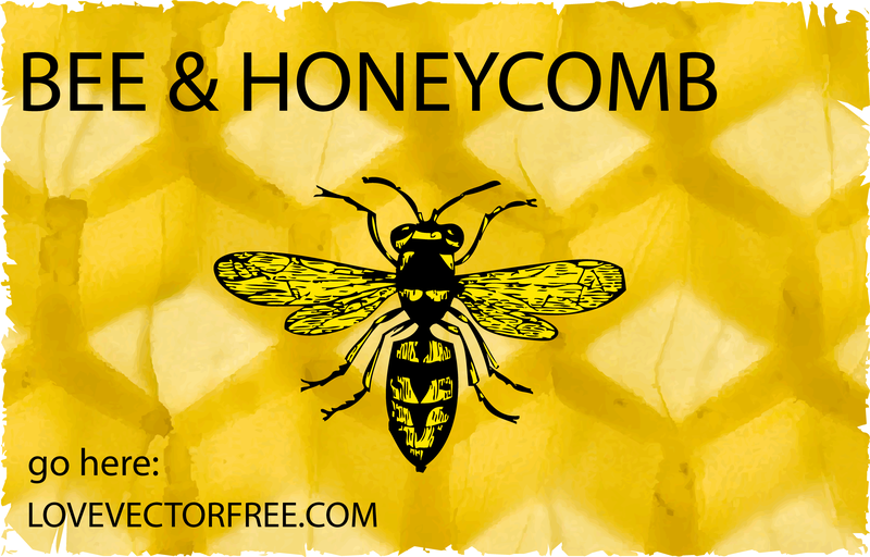 Hornet Bee and Honeycomb