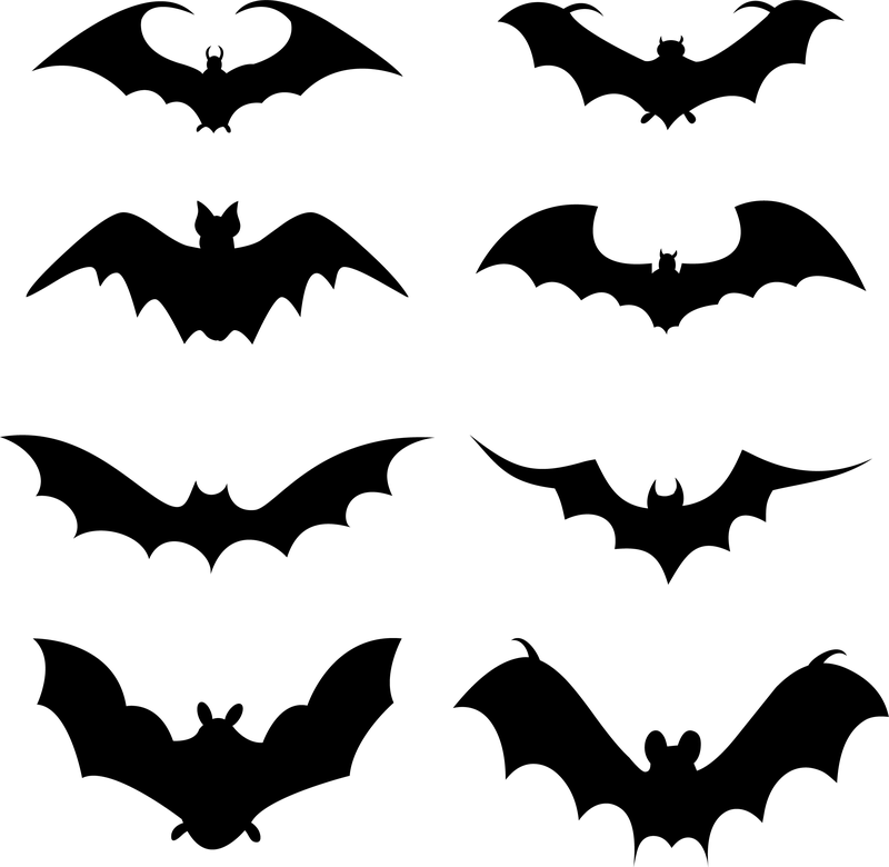 Conjunto De Silhueta De Morcego