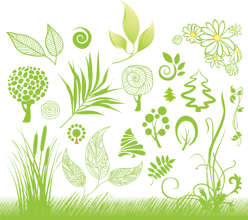 Planta pintada à mão 01 Vector