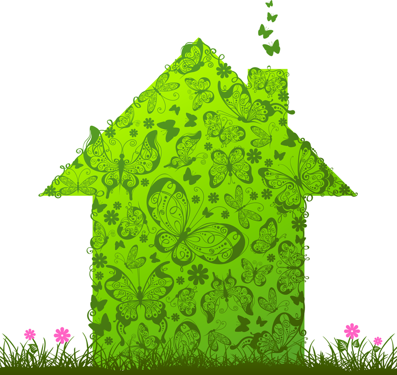 Casa verde y vector de caja