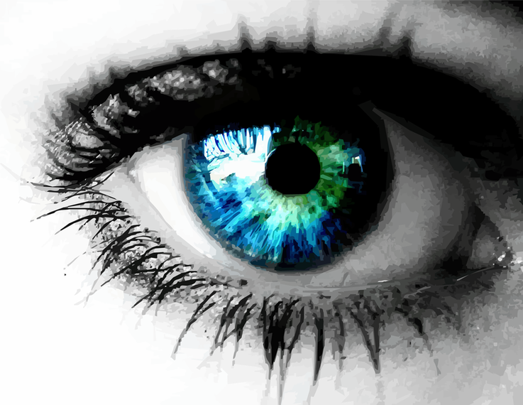 Beautiful Colored Eye Free Vector Beautiful Colored Eye Free Vector
