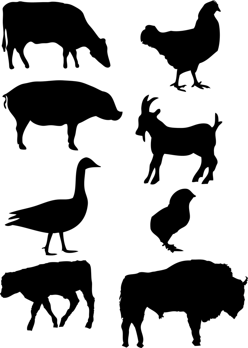 84be7f5ea7992281d2bd041129118480 farm animals vector graphics