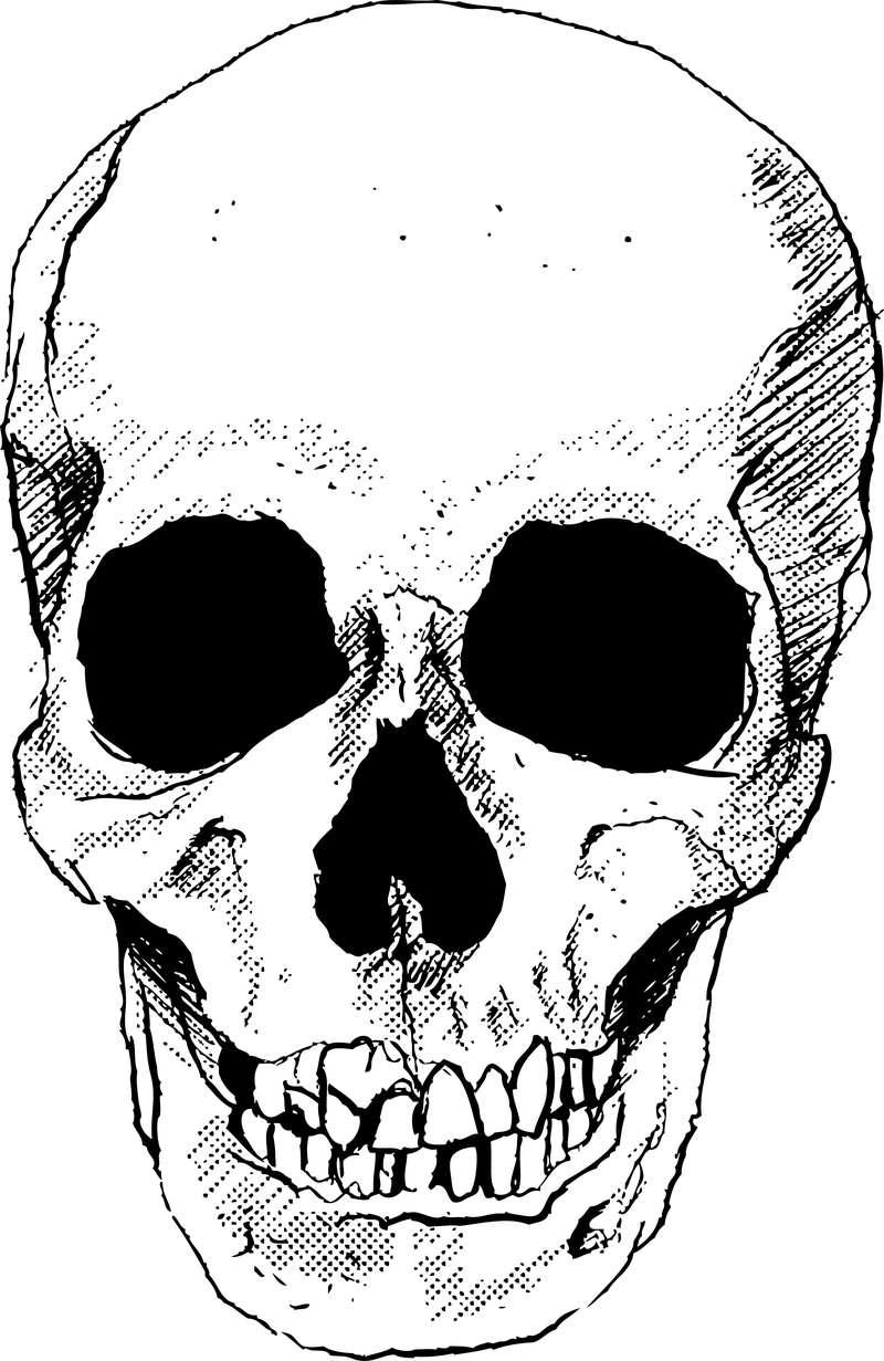 Download Skull Vector Art - Vector download