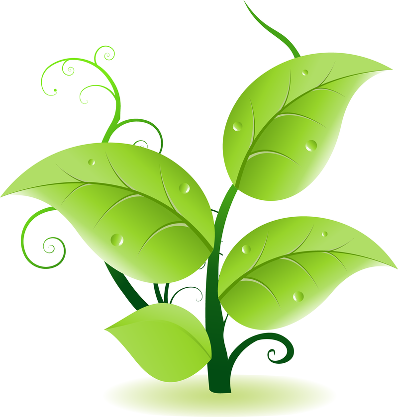 Isolated green leaves illustration - Vector download