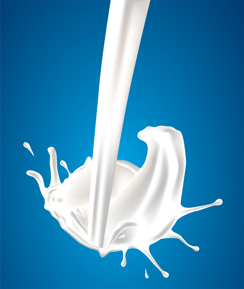 Dinámica Del Vector De La Leche Descargar Vector 9255