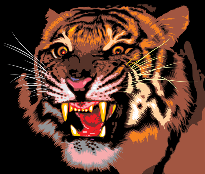Tiger Image 09 Vector Tiger Image 09 Vector