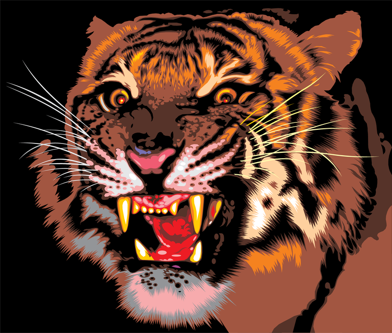 Vector de imagen de tigre 09