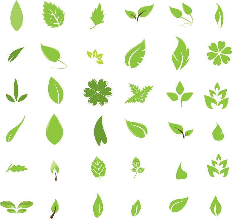 Elementos de diseño de hoja verde