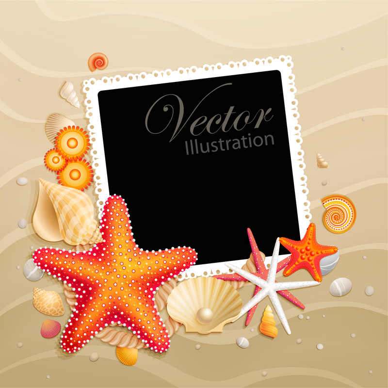 Estrella de mar Shell 05 Vector