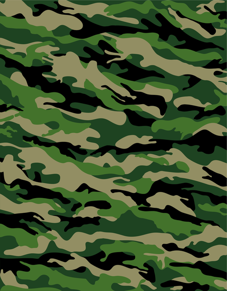 Camouflage Background Camouflage Background