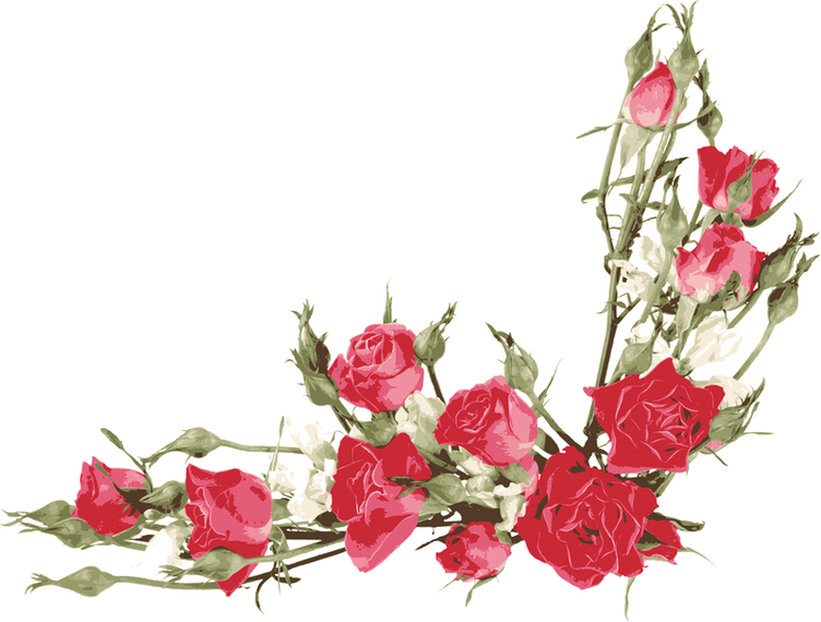 Rosa Bouquet 04 Vector Rosa Bouquet 04 Vector