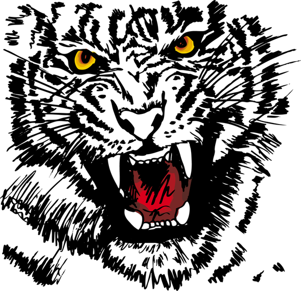 Tiger Image 27 Vector Tiger Image 27 Vector